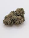 Reefer Kingz (Maliseet Dr)'s version