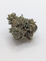 Reefer Kingz (Maliseet Dr)'s version