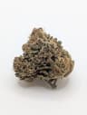 Reefer Kingz (Maliseet Dr)'s version