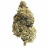 Top Hat Cannabis's version