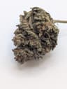 Reefer Kingz's version