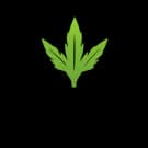 New Leaf