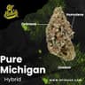 Get Bak'd Weed Dispensary's version
