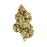 no STeMs's version