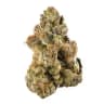 no STeMs's version