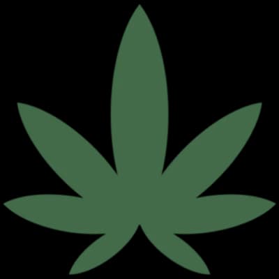 The Shack Cannabis Dispensary