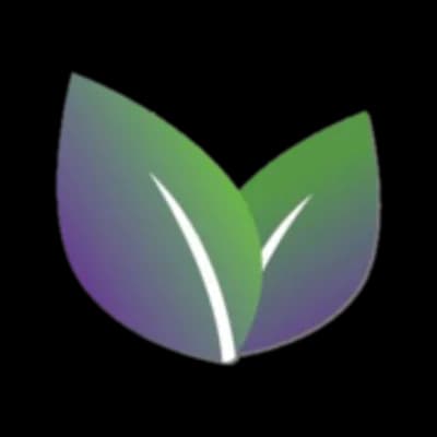 Hempire by the Purple Leaf